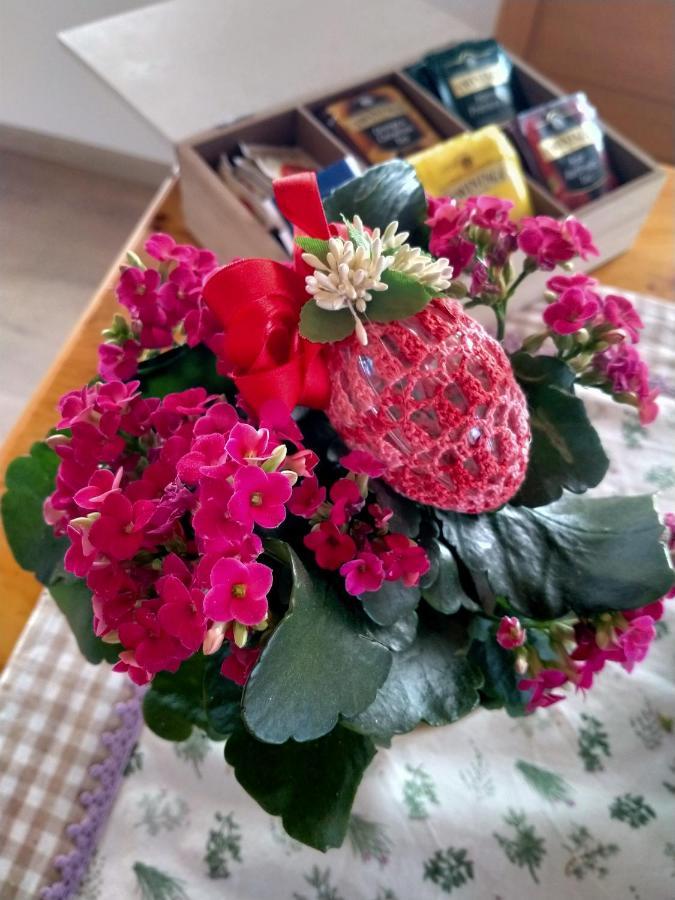 Antico Melo B&B Vignole 外观 照片