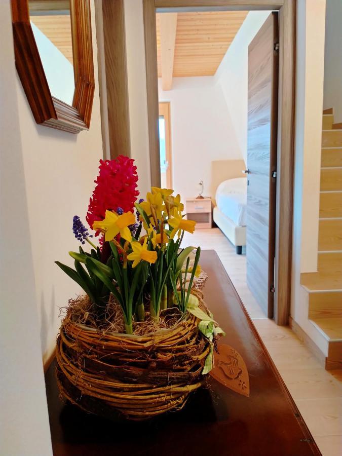 Antico Melo B&B Vignole 外观 照片