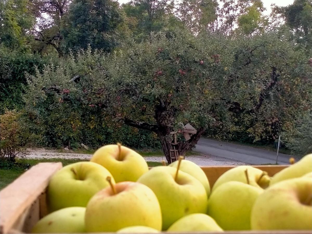 Antico Melo B&B Vignole 外观 照片